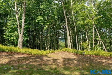 Gorgeous mountain view lot with a very gentle home site sitting on Natures Walk At Chinquapin in North Carolina - for sale on GolfHomes.com, golf home, golf lot