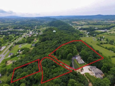 Exclusive Ridgetop Retreat Overlooking Wytheville Golf Club! on Wytheville Golf Club, Inc. in Virginia - for sale on GolfHomes.com, golf home, golf lot