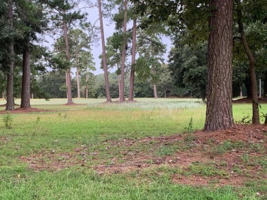 Beautiful lot on the #3 fairway ready for you to build your on Santee-Cooper Country Club in South Carolina - for sale on GolfHomes.com, golf home, golf lot