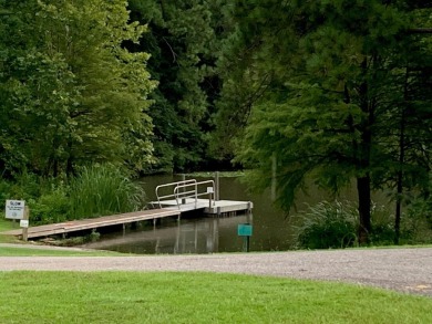 Beautiful lot on the #3 fairway ready for you to build your on Santee-Cooper Country Club in South Carolina - for sale on GolfHomes.com, golf home, golf lot