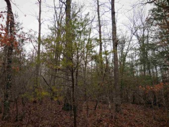 This is an amazing  lot, for your dream home in Lake Tansi on Lake Tansi Village Country Club in Tennessee - for sale on GolfHomes.com, golf home, golf lot
