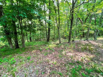 Exclusive Ridgetop Retreat Overlooking Wytheville Golf Club! on Wytheville Golf Club, Inc. in Virginia - for sale on GolfHomes.com, golf home, golf lot