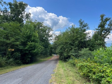 Build Your Dream Home in Mountain Harbour! This beautiful lot is on Chatuge Shores Golf Course in North Carolina - for sale on GolfHomes.com, golf home, golf lot