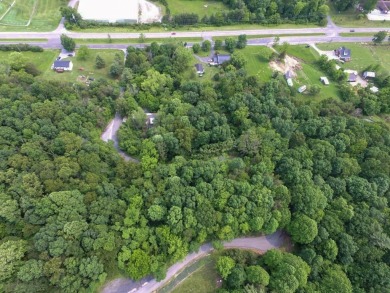 Exclusive Ridgetop Retreat Overlooking Wytheville Golf Club! on Wytheville Golf Club, Inc. in Virginia - for sale on GolfHomes.com, golf home, golf lot