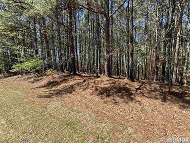 Don't miss the chance to own a prime lot in Hot Springs Village on Isabella Golf Course  in Arkansas - for sale on GolfHomes.com, golf home, golf lot