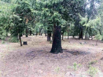 Great central location for this slightly down sloping lot. Easy on Lake Almanor Country Club in California - for sale on GolfHomes.com, golf home, golf lot