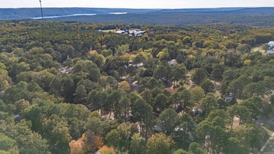 Sitting on three lots. This Immaculate 3-bedroom, 2-bath home on Mountain Ranch Golf Club in Arkansas - for sale on GolfHomes.com, golf home, golf lot