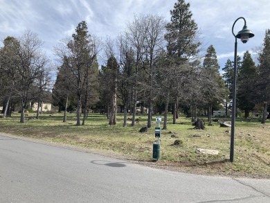 Level View Lot in the Running Y Resort!  Almost 1/2 acre of on Running Y Ranch Resort in Oregon - for sale on GolfHomes.com, golf home, golf lot