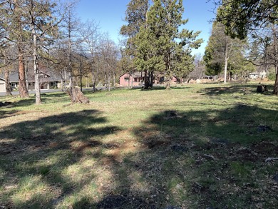 Level View Lot in the Running Y Resort! Almost 1/2 acre of on Running Y Ranch Resort in Oregon - for sale on GolfHomes.com, golf home, golf lot