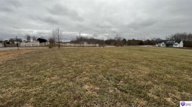 In search of a beautiful setting to build a new home, Lot #9 (0 on Campbellsville Country Club in Kentucky - for sale on GolfHomes.com, golf home, golf lot