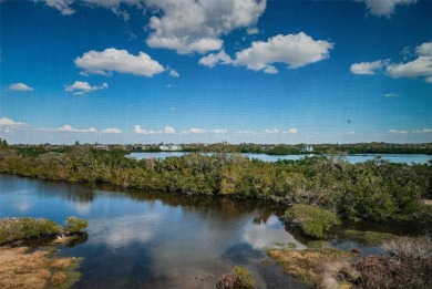 Move-in ready and beautifully remodeled 3 bedroom plus on Seminole Lake Country Club in Florida - for sale on GolfHomes.com, golf home, golf lot