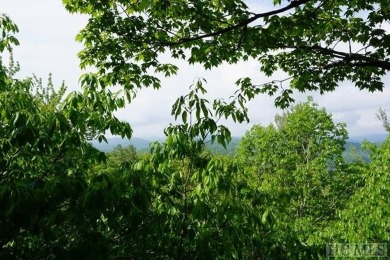 Community water, easy building site with great privacy, stunning on Old Edwards Club in North Carolina - for sale on GolfHomes.com, golf home, golf lot