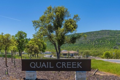 Builder Blowout on this Move-In-Ready Home. Solar included! on The Club at Copper Valley Golf Course in California - for sale on GolfHomes.com, golf home, golf lot