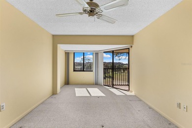 Discover easy, low-maintenance living in the desirable 55+ Green on Tarpon Springs Golf Course in Florida - for sale on GolfHomes.com, golf home, golf lot