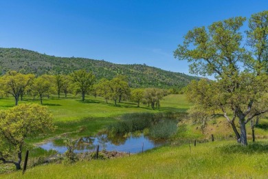 Builder Blowout on this Move-In-Ready Home. Solar included! on The Club at Copper Valley Golf Course in California - for sale on GolfHomes.com, golf home, golf lot