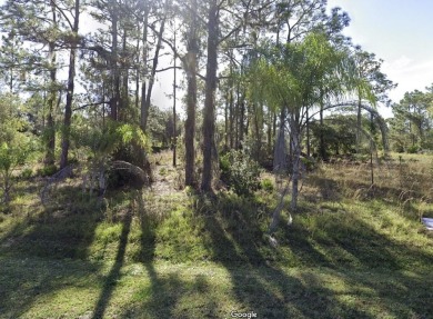 You have to come and see this spacious corner lot measuring a on Indian Lake Estates Golf and Country Club in Florida - for sale on GolfHomes.com, golf home, golf lot