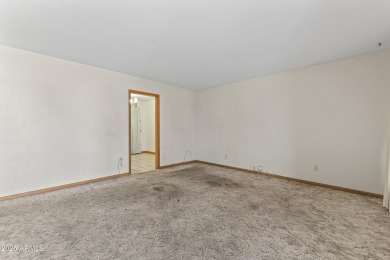 Tons of Potential. Opportunity to purchase a fix up home in on Sun City Lakes West and East in Arizona - for sale on GolfHomes.com, golf home, golf lot
