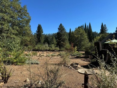 Charming 1934 Storybook Cabin on 7.65 Private Acres - A Rare on Sequoia Woods Country Club in California - for sale on GolfHomes.com, golf home, golf lot