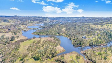 Dreaming of a new home with land? This immaculate 3-year-old on The Club at Copper Valley Golf Course in California - for sale on GolfHomes.com, golf home, golf lot