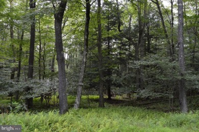 Discover your PERFECT Lake Access Getaway in the Serene Alpine on Alpine Lake Resort in West Virginia - for sale on GolfHomes.com, golf home, golf lot