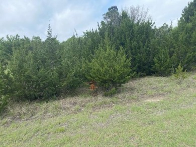 Great lot which backs up to the golf cart path for the 12th on White Bluff Resort - New Course in Texas - for sale on GolfHomes.com, golf home, golf lot