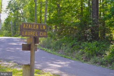 Discover your PERFECT Lake Access Getaway in the Serene Alpine on Alpine Lake Resort in West Virginia - for sale on GolfHomes.com, golf home, golf lot
