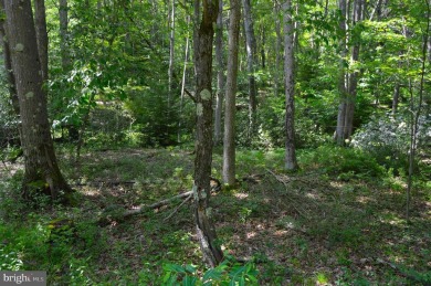 Discover your PERFECT Lake Access Getaway in the Serene Alpine on Alpine Lake Resort in West Virginia - for sale on GolfHomes.com, golf home, golf lot