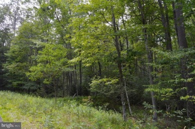 Discover your PERFECT Lake Access Getaway in the Serene Alpine on Alpine Lake Resort in West Virginia - for sale on GolfHomes.com, golf home, golf lot