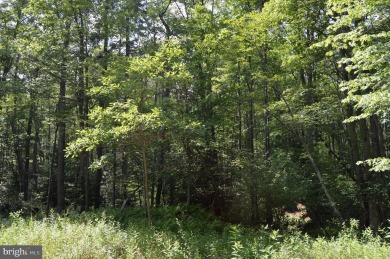 Discover your PERFECT Lake Access Getaway in the Serene Alpine on Alpine Lake Resort in West Virginia - for sale on GolfHomes.com, golf home, golf lot