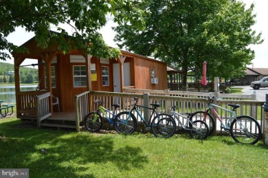 Discover your PERFECT Lake Access Getaway in the Serene Alpine on Alpine Lake Resort in West Virginia - for sale on GolfHomes.com, golf home, golf lot