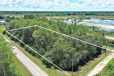 Exclusively presented by Sunland Real Estate: Discover your on Lehigh Resort Club in Florida - for sale on GolfHomes.com, golf home, golf lot