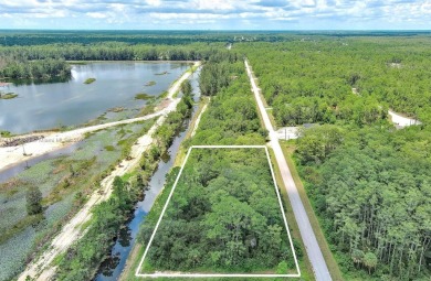 Exclusively presented by Sunland Real Estate: Discover your on Lehigh Resort Club in Florida - for sale on GolfHomes.com, golf home, golf lot