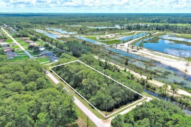 Exclusively presented by Sunland Real Estate: Discover your on Lehigh Resort Club in Florida - for sale on GolfHomes.com, golf home, golf lot