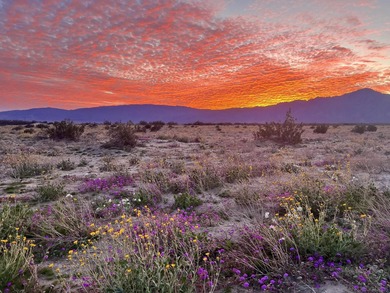 Great opportunity in the DeAnza Country Golf Club Community: on Rams Hill Golf Club in California - for sale on GolfHomes.com, golf home, golf lot