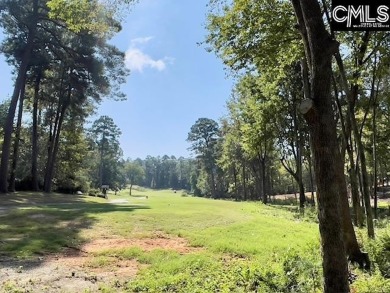 Welcome to White Water Landing, Lake Murray's newest premier on Timberlake Country Club in South Carolina - for sale on GolfHomes.com, golf home, golf lot