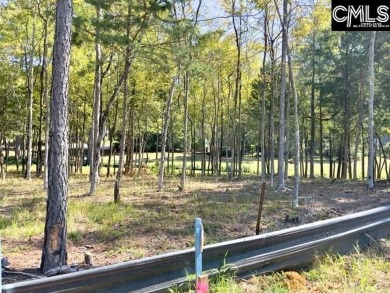 Welcome to White Water Landing, Lake Murray's newest premier on Timberlake Country Club in South Carolina - for sale on GolfHomes.com, golf home, golf lot