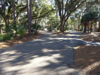 Desirable Duplex Style villa overlooking a scenic pond in gated on The Plantation Course At Edisto in South Carolina - for sale on GolfHomes.com, golf home, golf lot