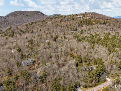 This charming country cottage has the convenience of being on Wildcat Cliffs Country Club in North Carolina - for sale on GolfHomes.com, golf home, golf lot