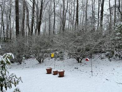 This charming country cottage has the convenience of being on Wildcat Cliffs Country Club in North Carolina - for sale on GolfHomes.com, golf home, golf lot