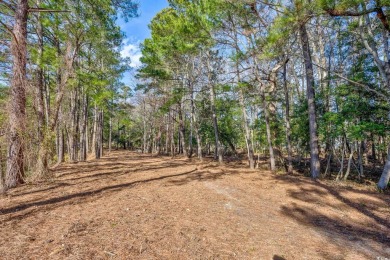 Build Your Dream Home in Paradise; Nestled amidst the lush on Tidewater Golf Club and Plantation in South Carolina - for sale on GolfHomes.com, golf home, golf lot