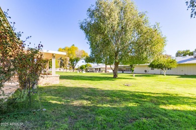 Discover this adorable 2-bedroom twin home situated in the on Sun City Lakes West and East in Arizona - for sale on GolfHomes.com, golf home, golf lot