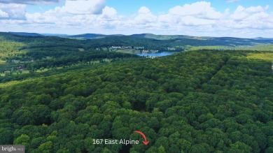 Welcome to this Charming ranch-style 3 Bedroom/2 Full Baths home on Alpine Lake Resort in West Virginia - for sale on GolfHomes.com, golf home, golf lot