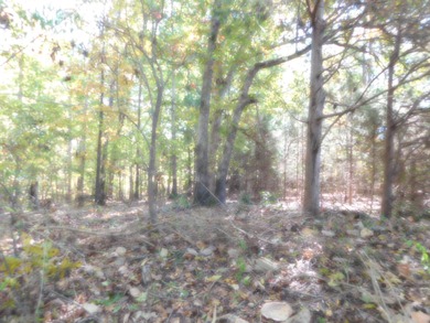 Move-in ready property has been meticulously maintained. 3 on Gaffney Country Club in South Carolina - for sale on GolfHomes.com, golf home, golf lot