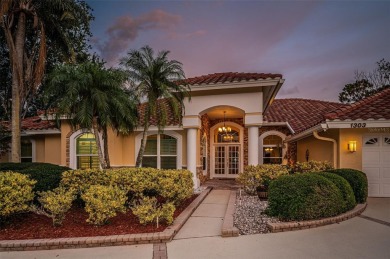 An Amazing Ensemble of Stunning Views, Serene Privacy and the on East Lake Woodlands Country Club in Florida - for sale on GolfHomes.com, golf home, golf lot