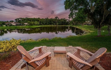 An Amazing Ensemble of Stunning Views, Serene Privacy and the on East Lake Woodlands Country Club in Florida - for sale on GolfHomes.com, golf home, golf lot