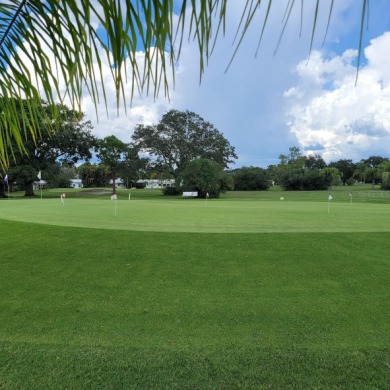 NO FLOODING from HELENE OR MILTON!!!!  Are you ready to embrace on Mainlands Golf Club in Florida - for sale on GolfHomes.com, golf home, golf lot