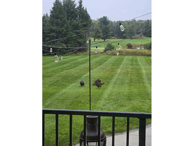 **Gorgeous Newer Build Overlooking Lakewood On The Green and on The Briar South At Lakewood in Michigan - for sale on GolfHomes.com, golf home, golf lot