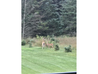 **Gorgeous Newer Build Overlooking Lakewood On The Green and on The Briar South At Lakewood in Michigan - for sale on GolfHomes.com, golf home, golf lot