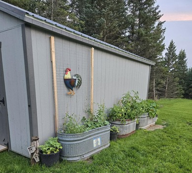 **Gorgeous Newer Build Overlooking Lakewood On The Green and on The Briar South At Lakewood in Michigan - for sale on GolfHomes.com, golf home, golf lot