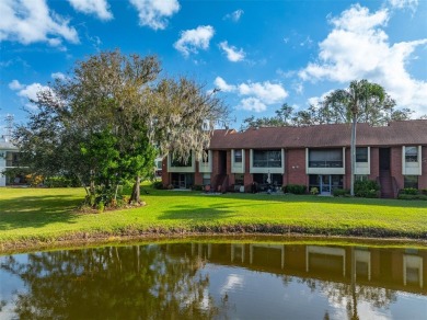 Welcome Home! Enjoy this COMPLETELY REMODELED 2 Bedroom, 2 Bath on East Lake Woodlands Country Club in Florida - for sale on GolfHomes.com, golf home, golf lot